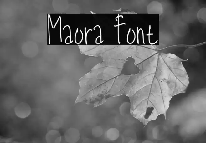 Maora Example 2