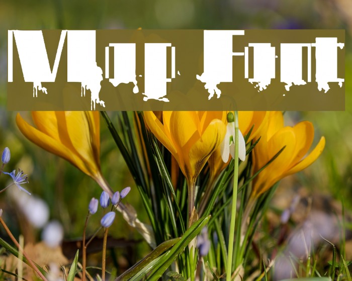 Map Font examples