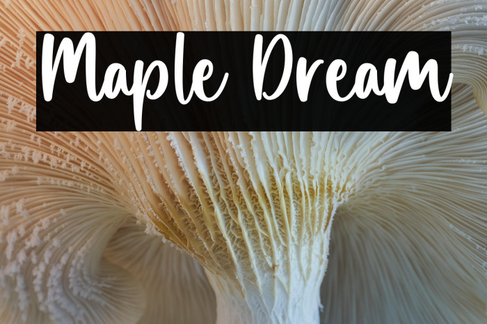 Maple Dream Example 2