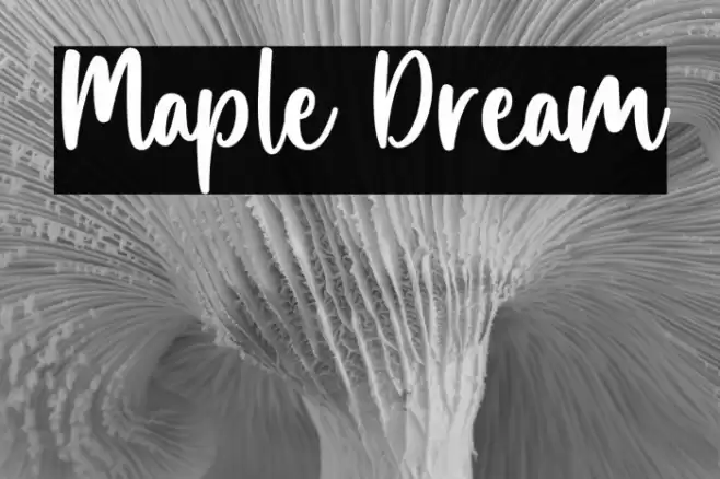 Maple Dream Caratteri examples