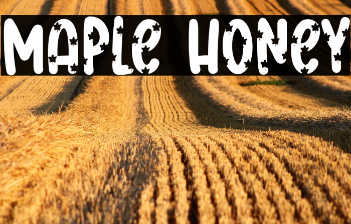 Maple Honey Example 1