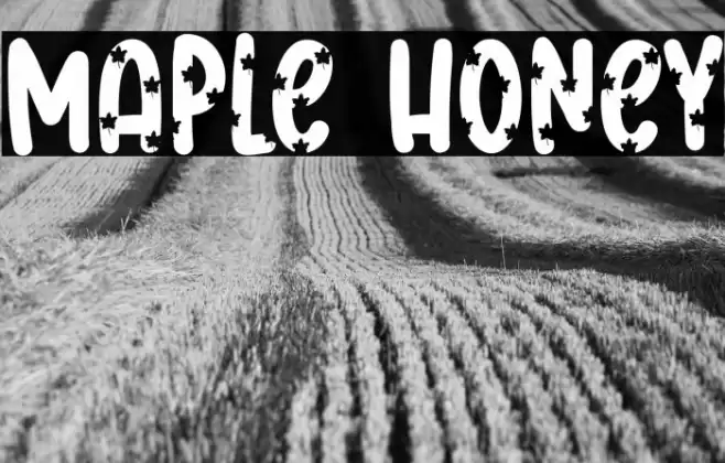 Maple Honey Font examples