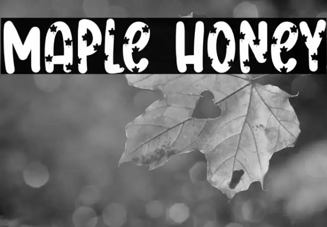 Maple Honey Font examples