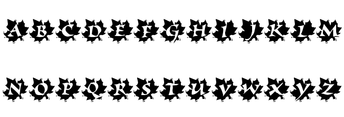 Maple Leaf Rag Fuentes MINÚSCULAS