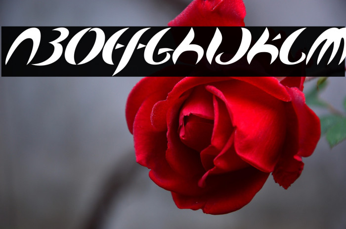 MapofYou-Regular Example 1