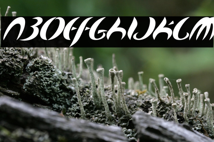 MapofYou-Regular Example 3