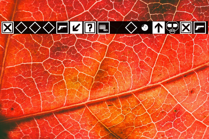 MapperKit Regular Example 1