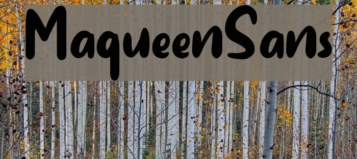 MaqueenSans Example 3
