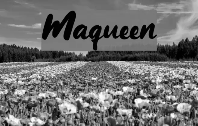 Maqueen Font examples