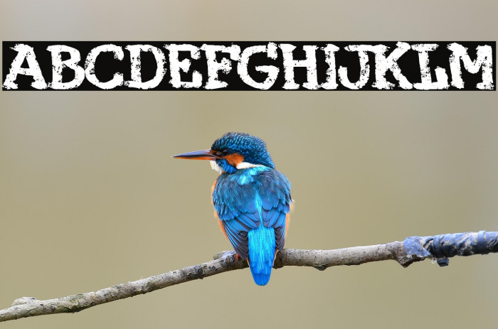 Maquina 374 Example 2