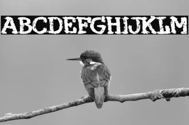 Maquina 374 Font examples