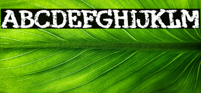 Maquina 374 Example 3