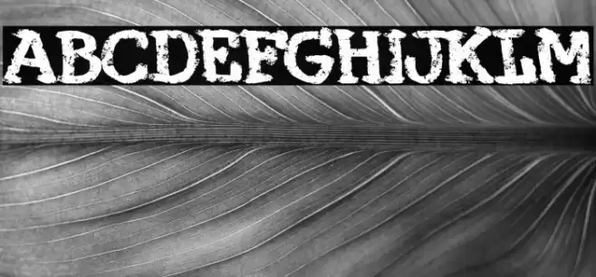 Maquina 374 Font examples