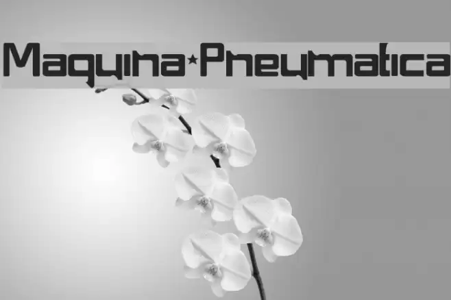 Maquina Pneumatica Font examples