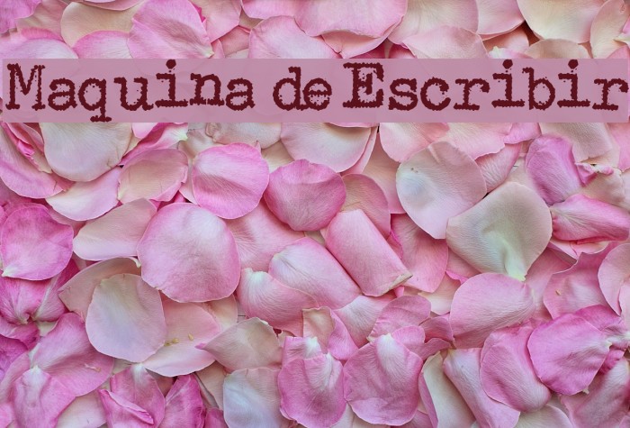 Maquina de Escribir Font examples