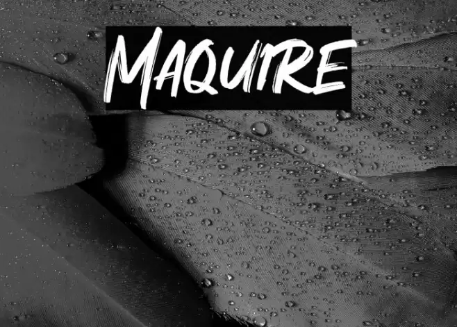 Maquire Font examples