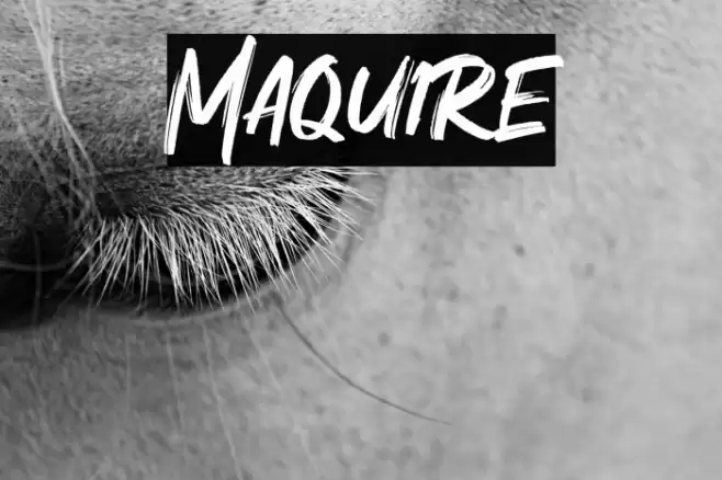 Maquire Font examples