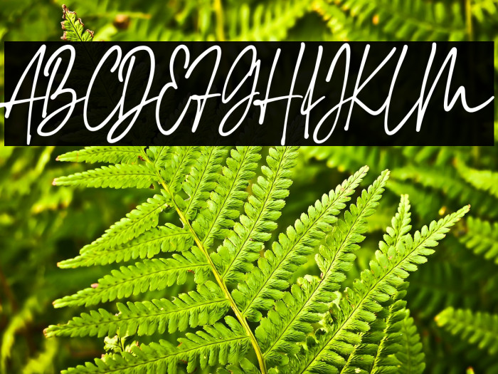 Maradona Signature Example 1