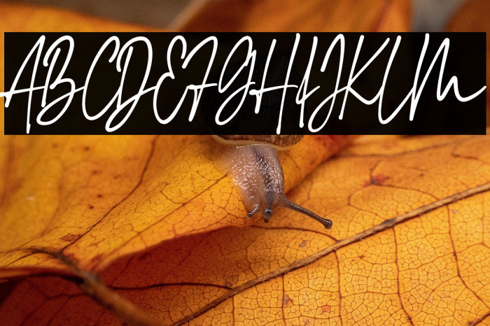 Maradona Signature Example 2