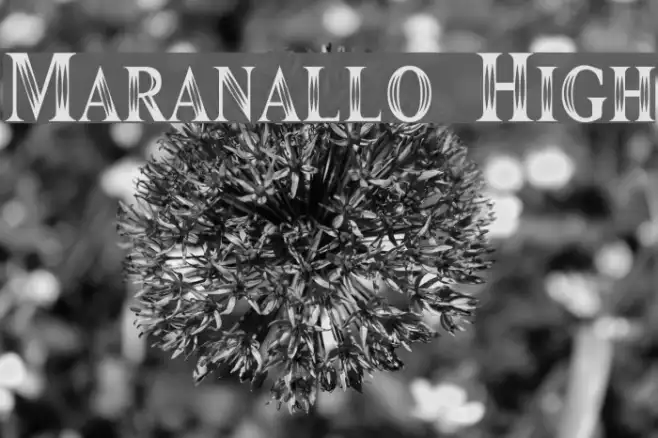 Maranallo High Example 1