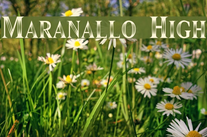 Maranallo High Font examples