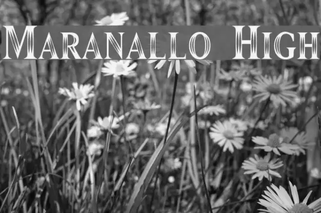 Maranallo High Example 2
