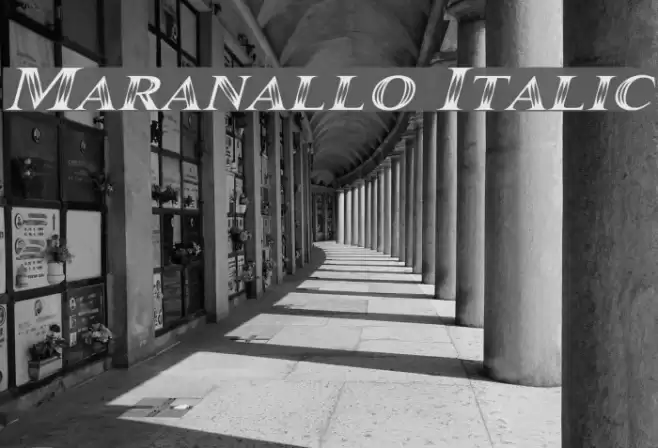 Maranallo Italic Font examples
