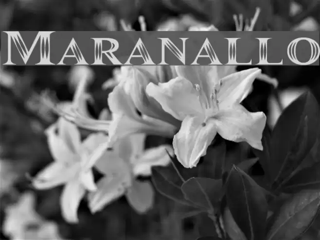 Maranallo Font examples