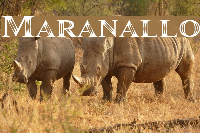 Maranallo Font examples