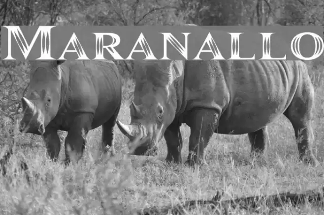 Maranallo Font examples