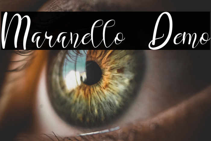 Maranello Demo Example 1