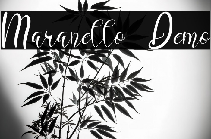 Maranello Demo Example 3