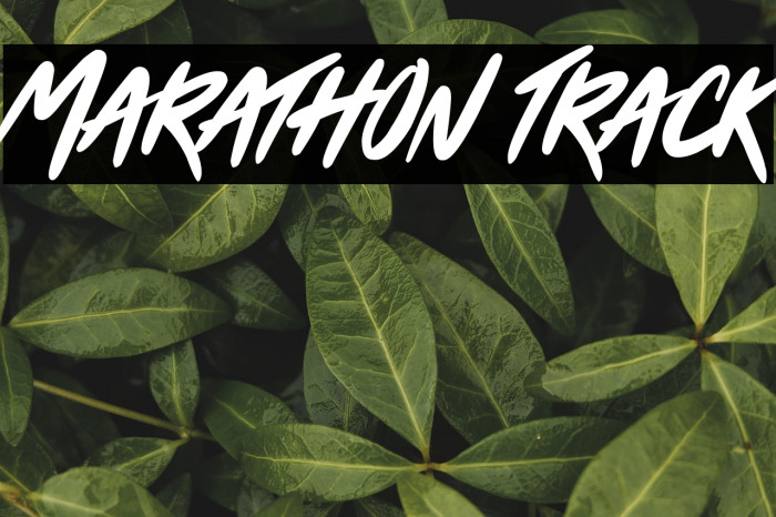 Marathon Track Example 1