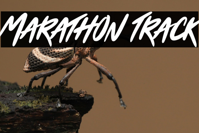 Marathon Track Example 2