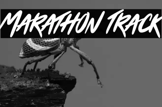 Marathon Track Шрифта examples