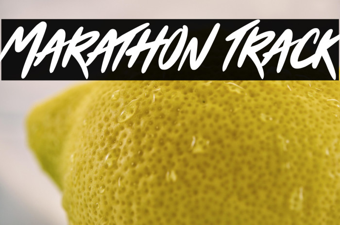 Marathon Track Example 3