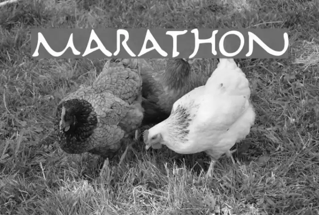 Marathon Font examples