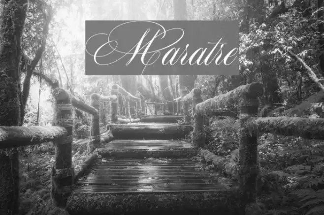 Maratre Font examples