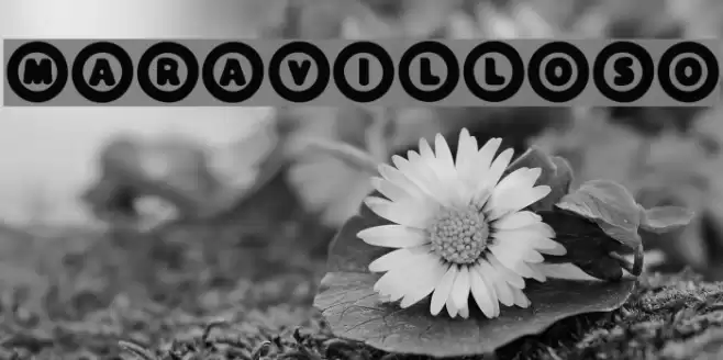 Maravilloso Font examples