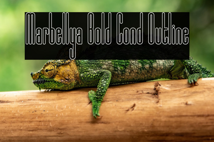 Marbellya Bold Cond Outline Example 1