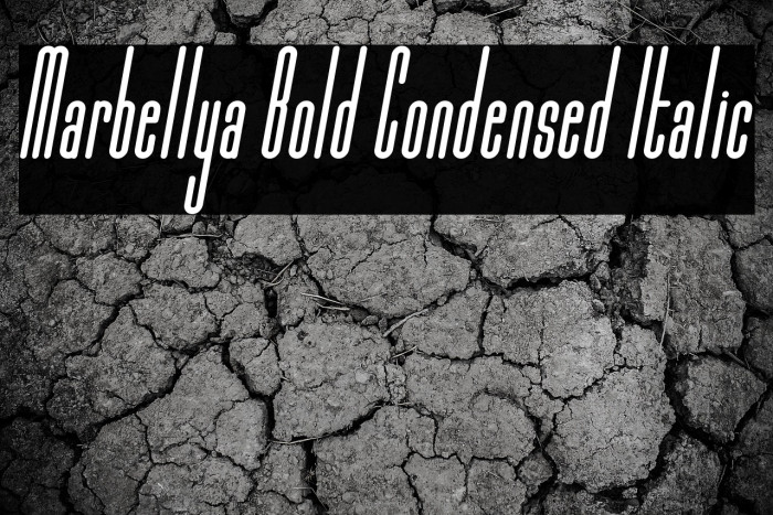 Marbellya Bold Condensed Italic Example 1