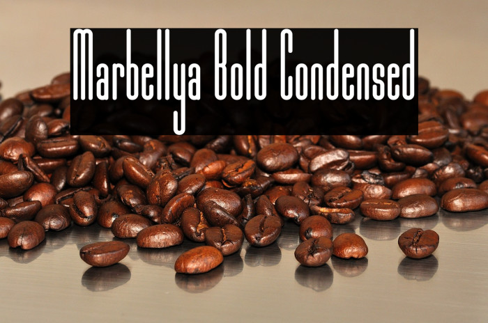 Marbellya Bold Condensed Example 2