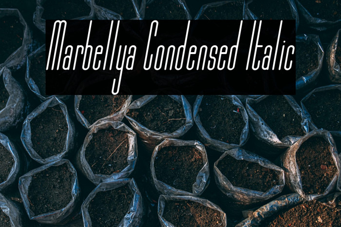Marbellya Condensed Italic Example 1