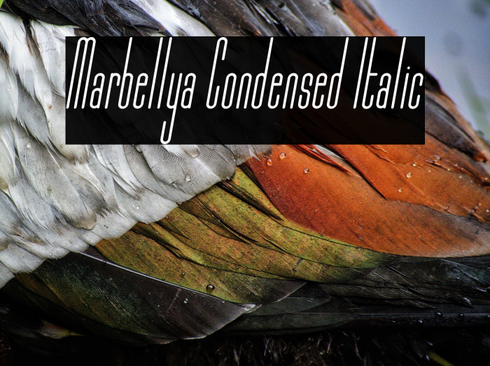 Marbellya Condensed Italic Example 3
