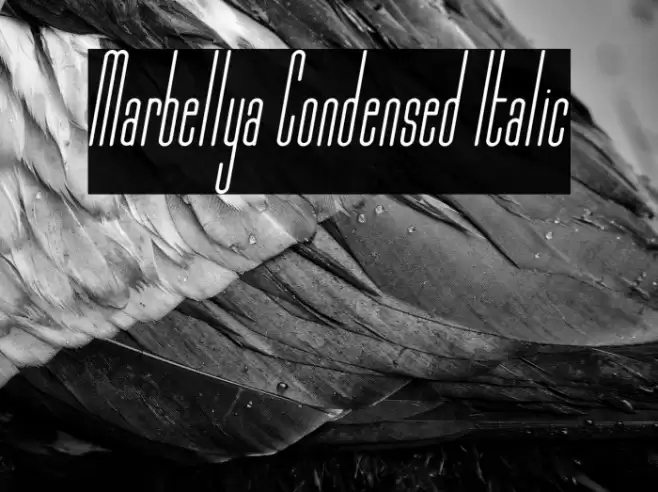 Marbellya Condensed Italic Font examples