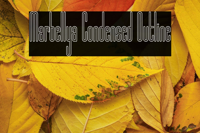 Marbellya Condensed Outline Example 3