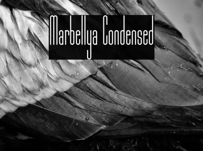 Marbellya Condensed Example 1