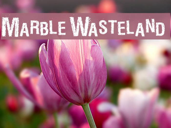 MarbleWasteland Font examples