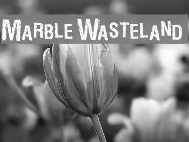 MarbleWasteland Example 1