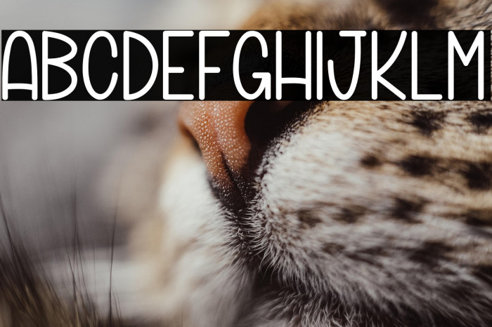 Marbles Trick_PersonalUseOnly Example 3